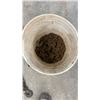 Image 2 : Pail of Chains with Hooks, Approx 7 Chains, Longest is 16ft