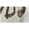 Image 3 : 6 Chains with Hooks, Longest is 18ft