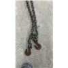 Image 7 : 6 Chains with Hooks, Longest is 18ft