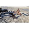 Image 2 : Dearborn 3-Point Hitch 2-Bottom Tractor Plow Implement