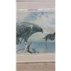 Image 6 : George McLean "Red-Tailed Hawk - A Portrait of Canada" Framed Print, Signed 123/200