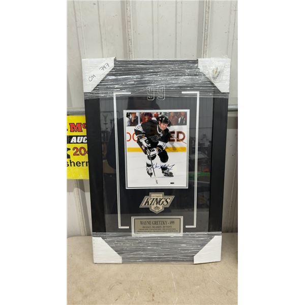 Autographed Framed Wayne Gretzky #99 Hockey Memorabilia, 17.5” × 26.5”