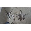 Image 2 : Assortment of Pliers Including Vise-Grip Locking Pliers, Slip-Joint, Needle-Nose, Snips, Scissors