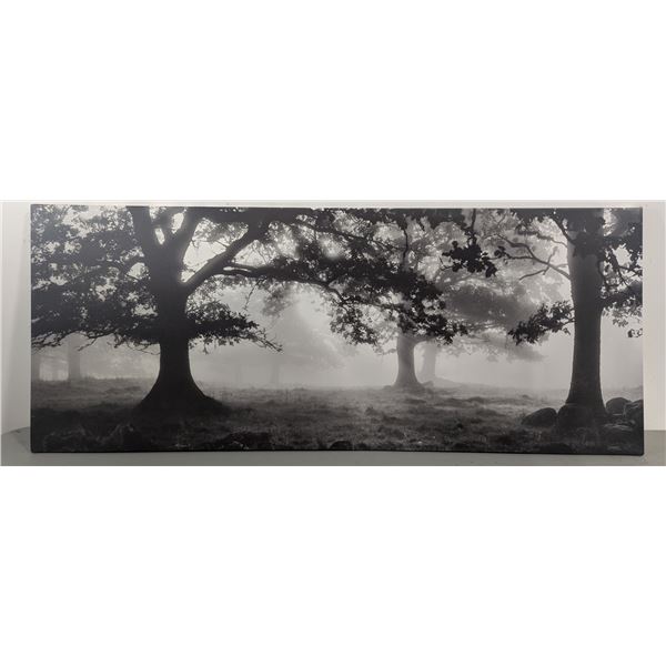 IKEA 'Pjatteryd' Black & White Forest Print