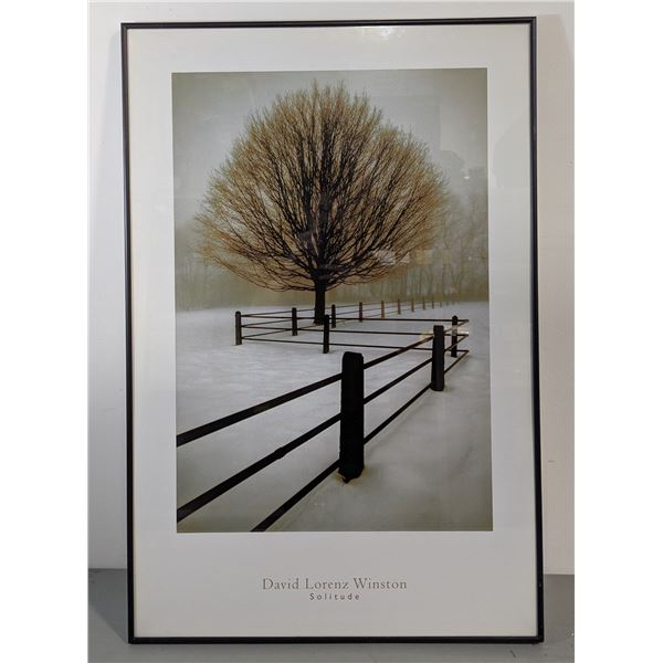 David Lorenz Winston 'Solitude' Framed Print