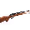 Image 8 : Winchester Model 52 .22 LR #79246C