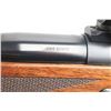 Image 6 : Winchester Model 70 'Super Express' .458 Lott