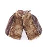 Image 1 : Child's Wooly Chaps