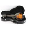 Image 1 : Washburn Electric Mandolin