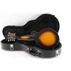 Image 2 : Washburn Electric Mandolin