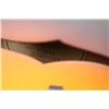 Image 3 : Washburn Electric Mandolin