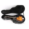 Image 5 : Washburn Electric Mandolin