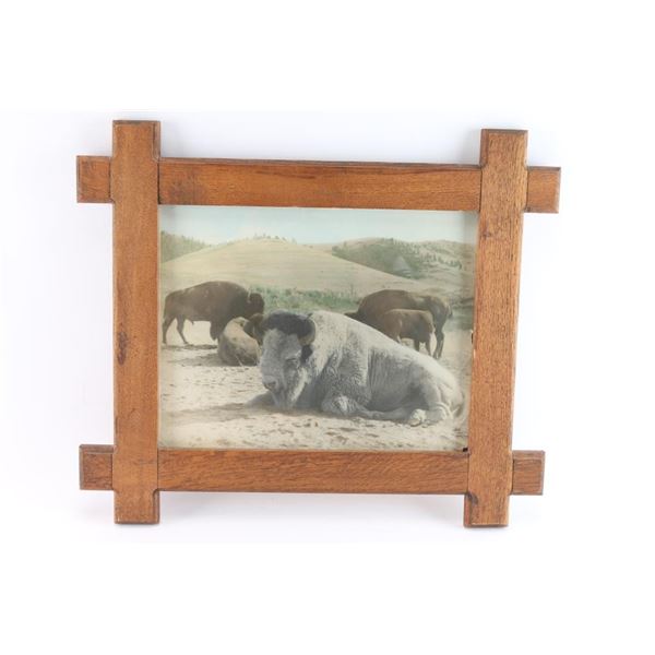 Tinted Photograph