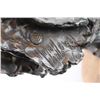 Image 11 : Pair of Fine Art Bronzes