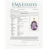 Image 7 : Magnificent 113.00 carat Amethyst Pendant