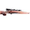Image 8 : Sako / Stoeger L61R .300 Win Mag #525172