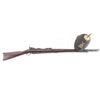 Image 1 : Springfield 1888 Trapdoor 9th NY Inf. .45-70