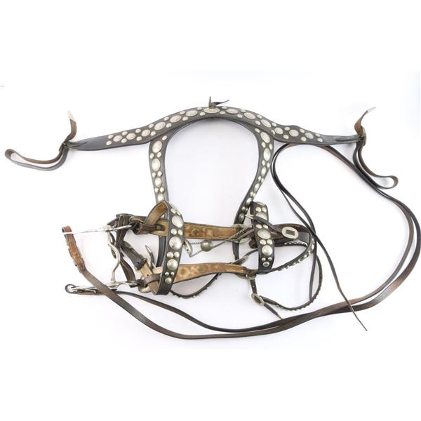 Fancy Bridle and Chest Strap