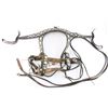 Image 1 : Fancy Bridle and Chest Strap