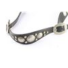Image 3 : Fancy Bridle and Chest Strap