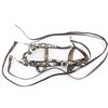 Image 4 : Fancy Bridle and Chest Strap