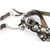Image 5 : Fancy Bridle and Chest Strap