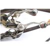 Image 7 : Fancy Bridle and Chest Strap