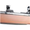 Image 5 : Anschutz Modell 54 MS .22 LR #181710X