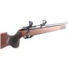 Image 8 : Anschutz Modell 54 MS .22 LR #181710X