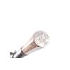 Image 3 : Presentation Silver Mounted Cane