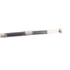 Image 4 : Presentation Silver Mounted Cane