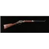Image 10 : Henry Repeating Arms H004MC .22 S/L/LR