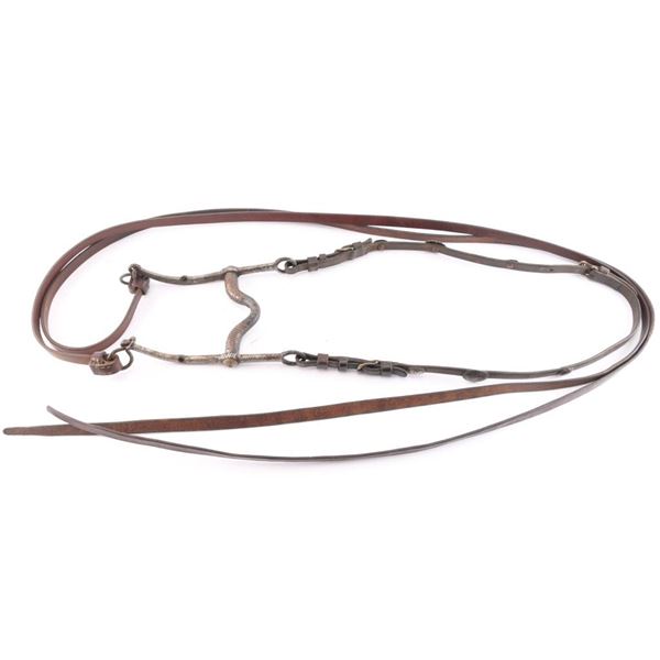 Western Long Skank Bit/Bridle