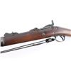 Image 4 : Springfield 1873 Trapdoor 1st SC Inf. .45-70