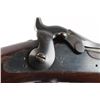 Image 9 : Springfield 1873 Trapdoor 1st SC Inf. .45-70