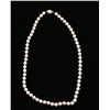 Image 1 : Ladies Cultured Pearl Necklace