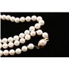Image 3 : Ladies Cultured Pearl Necklace