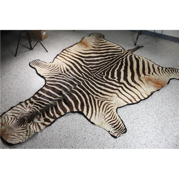 Zebra Rug