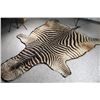 Image 1 : Zebra Rug