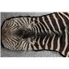 Image 2 : Zebra Rug