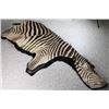 Image 3 : Zebra Rug