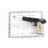 Image 2 : Colt 1903 Pocket Hammerless .32 ACP #118869