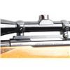 Image 5 : Husqvarna / FFV Sports 1900 .25-06 Rem #509061