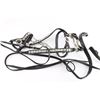 Image 12 : Vintage Parade Bridle.