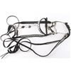 Image 1 : Vintage Parade Bridle.