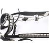 Image 3 : Vintage Parade Bridle.