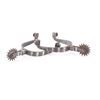 Image 1 : Vintage Spurs.
