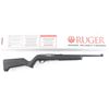 Image 1 : Ruger 10/22 .22 LR #0027-19963