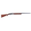 Image 1 : Remington 1100 12 Ga #N724374V