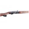 Image 8 : Remington 1100 12 Ga #N724374V